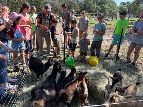 Mini Farmer Day Camp